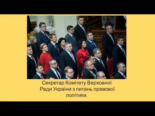 Секретар Комітету Верховної Ради України з питань правової політики.