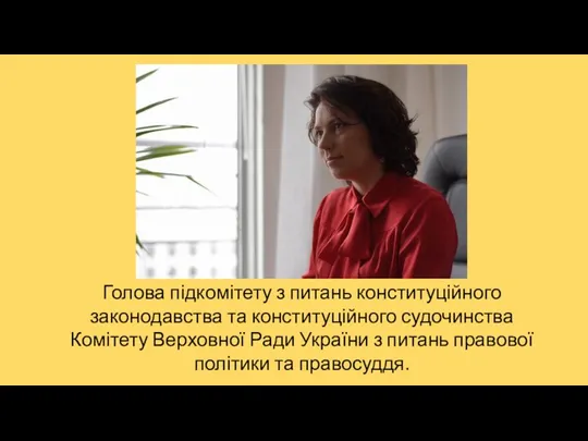 Голова підкомітету з питань конституційного законодавства та конституційного судочинства Комітету