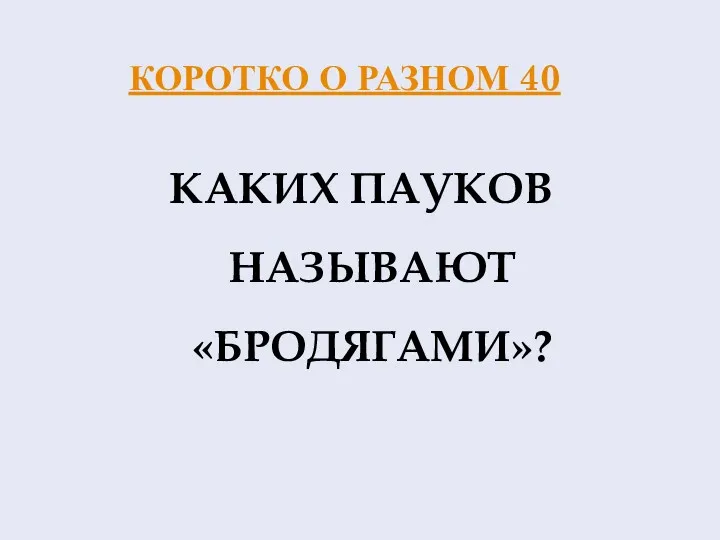 КОРОТКО О РАЗНОМ 40 КАКИХ ПАУКОВ НАЗЫВАЮТ «БРОДЯГАМИ»?