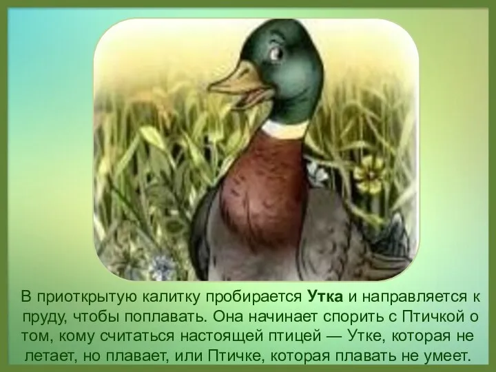 В приоткрытую калитку пробирается Утка и направляется к пруду, чтобы