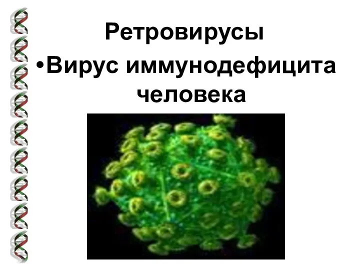 Ретровирусы Вирус иммунодефицита человека