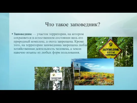 Что такое заповедник? Заповедник — участок территории, на котором сохраняется