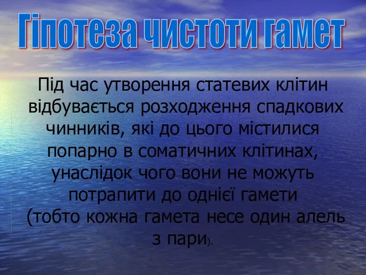 Гіпотеза чистоти гамет Під час утворення статевих клітин відбувається розходження