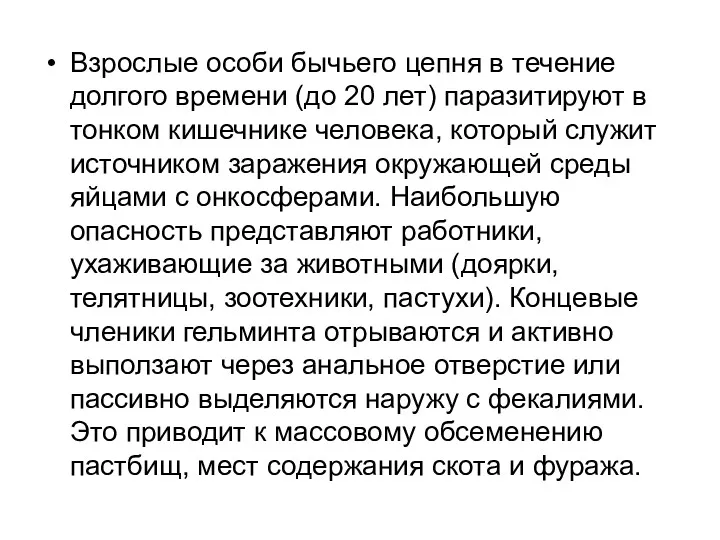 Взрослые особи бычьего цепня в течение долгого времени (до 20