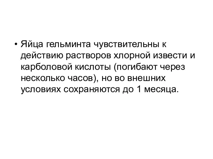 Яйца гельминта чувствительны к действию растворов хлорной извести и карболовой