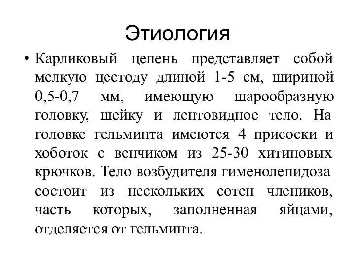 Этиология Карликовый цепень представляет собой мелкую цестоду длиной 1-5 см,