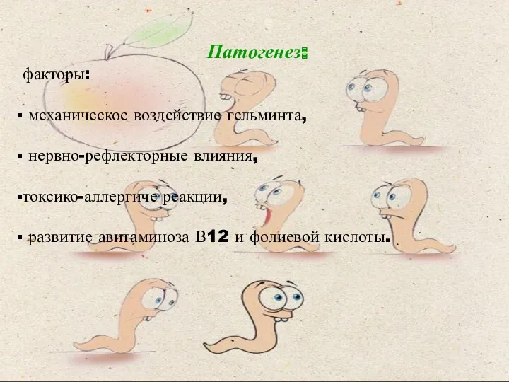 Патогенез: факторы: механическое воздействие гельминта, нервно-рефлекторные влияния, токсико-аллергиче реакции, развитие авитаминоза В12 и фолиевой кислоты.