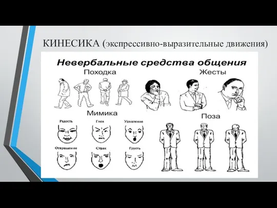 КИНЕСИКА (экспрессивно-выразительные движения)