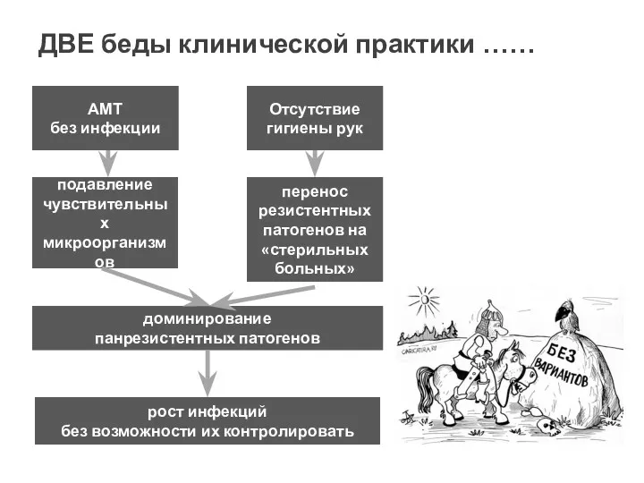 АМТ без инфекции Отсутствие гигиены рук доминирование панрезистентных патогенов подавление