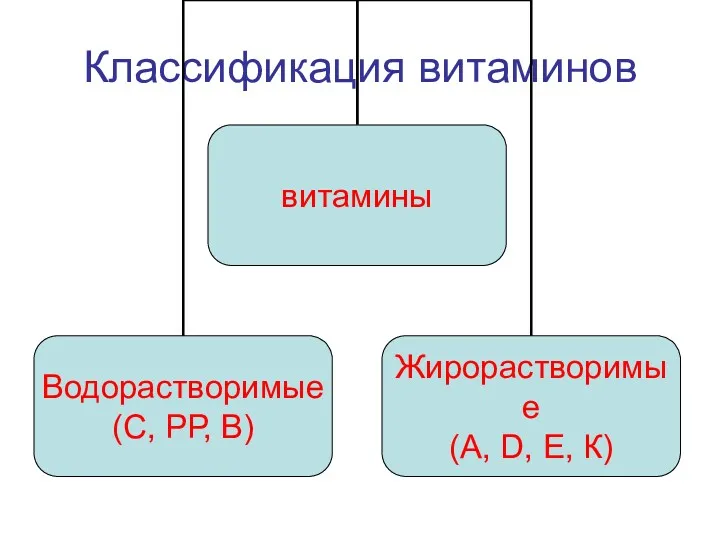 Классификация витаминов