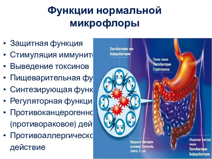 Функции нормальной микрофлоры Защитная функция Стимуляция иммунитета Выведение токсинов Пищеварительная функция Синтезирующая функция