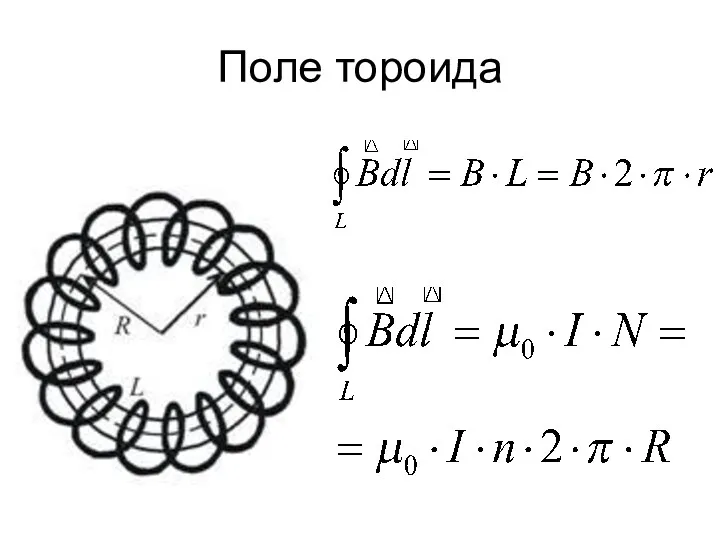 Поле тороида