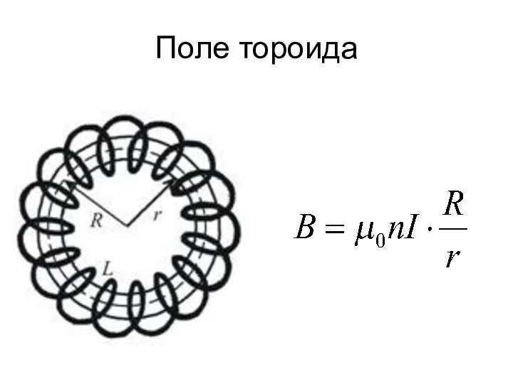 Поле тороида