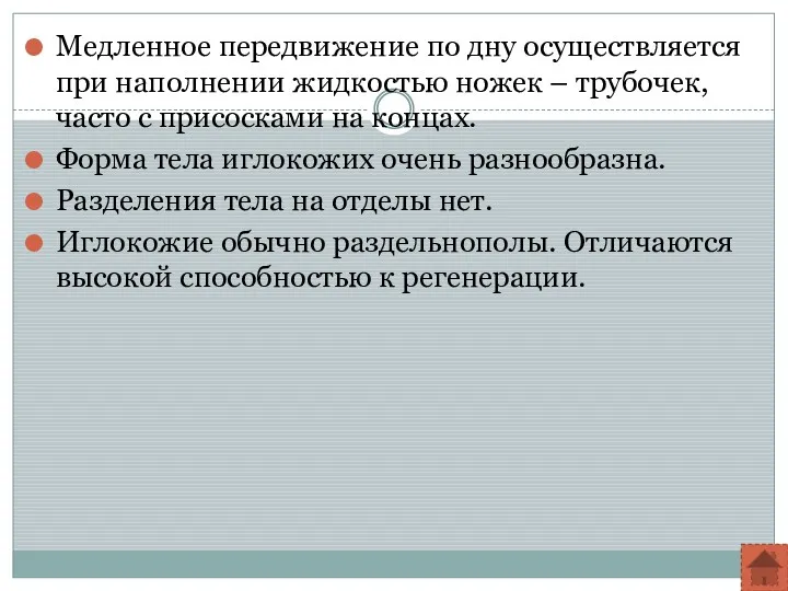 Медленное передвижение по дну осуществляется при наполнении жидкостью ножек –