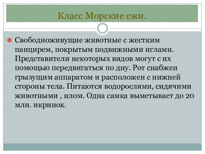 Класс Морские ежи. Свободноживущие животные с жестким панцирем, покрытым подвижными