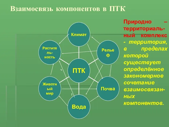 Взаимосвязь компонентов в ПТК Природно – территориаль-ный комплекс - территория,