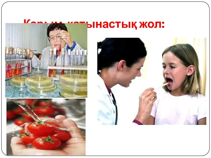 Қарым-қатынастық жол: