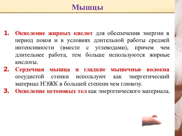 Мышцы Окисление жирных кислот для обеспечения энергии в период покоя