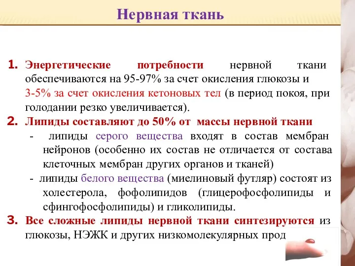 Нервная ткань Энергетические потребности нервной ткани обеспечиваются на 95-97% за