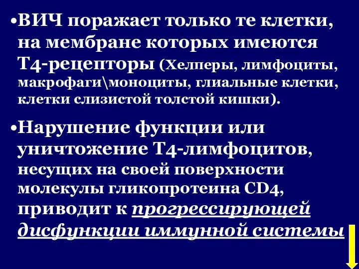 ВИЧ поражает только те клетки, на мембране которых имеются Т4-рецепторы