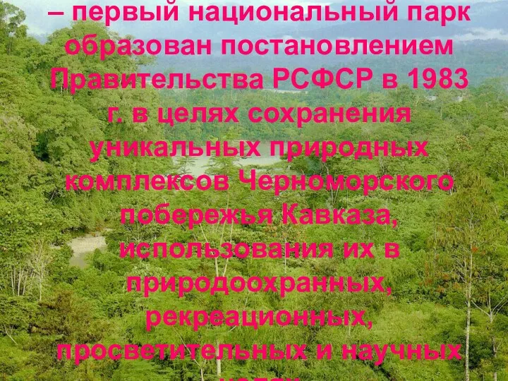 Сочинский национальный парк – первый национальный парк образован постановлением Правительства РСФСР в 1983