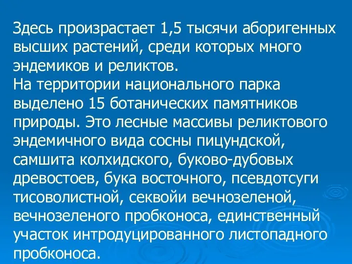 Здесь произрастает 1,5 тысячи аборигенных высших растений, среди которых много