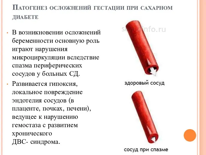 Патогенез осложнений гестации при сахарном диабете В возникновении осложнений беременности основную роль играют