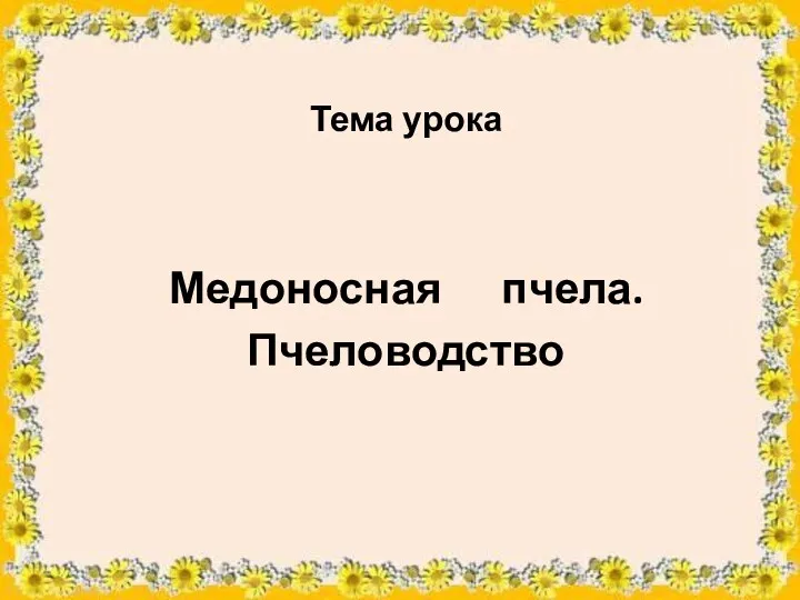 Тема урока Медоносная пчела. Пчеловодство