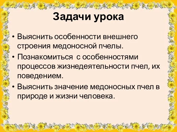 Задачи урока Выяснить особенности внешнего строения медоносной пчелы. Познакомиться с