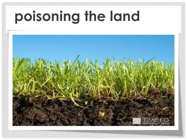 poisoning the land