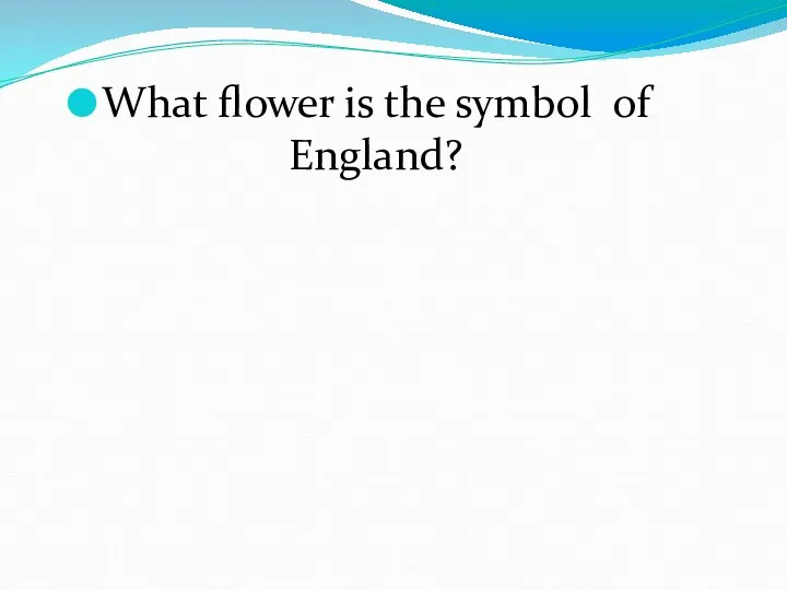 What flower is the symbol of England?