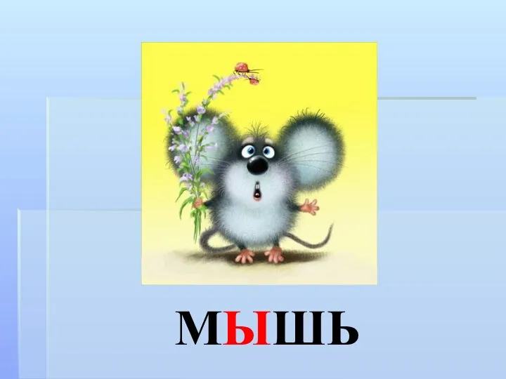 МЫШЬ