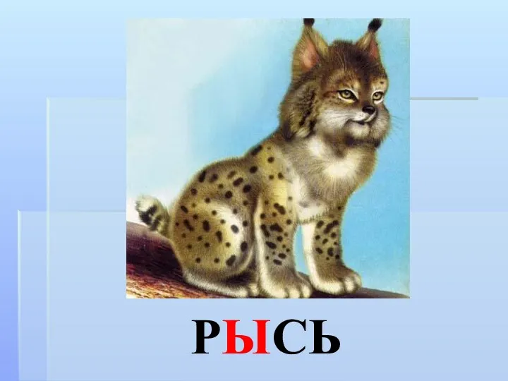 РЫСЬ