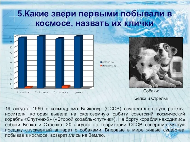 5.Какие звери первыми побывали в космосе, назвать их клички 19 августа 1960 с