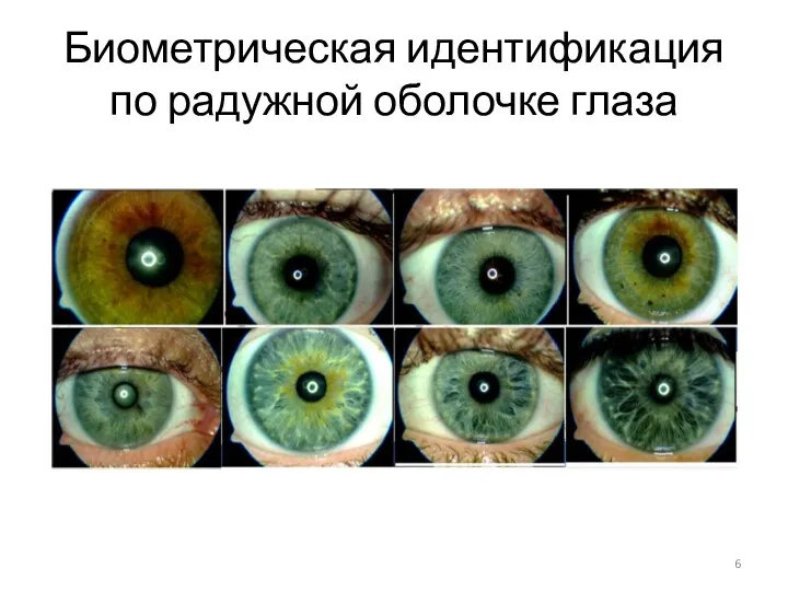 Биометрическая идентификация по радужной оболочке глаза