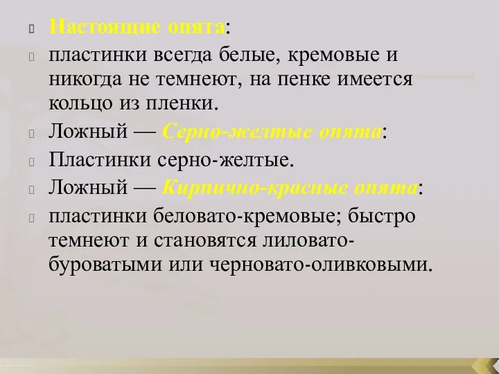 Настоящие опята: пластинки всегда белые, кремовые и никогда не темнеют,