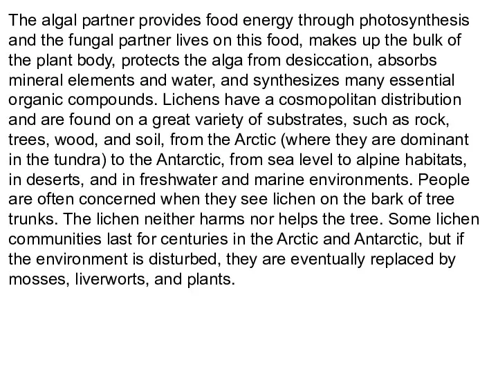The algal partner provides food energy through photosynthesis and the