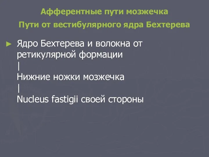 Афферентные пути мозжечка Пути от вестибулярного ядра Бехтерева Ядро Бехтерева