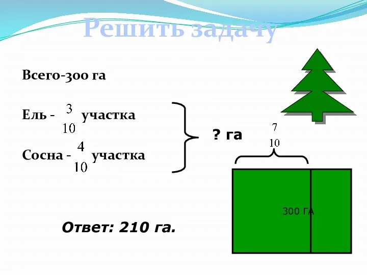 Всего-300 га Ель - участка Сосна - участка ? га