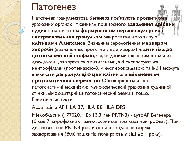 Патогенез Патогенез гранулематоза Вегенера пов'язують з розвитком в уражених органах