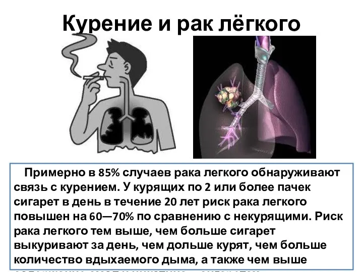 Примерно в 85% случаев рака легкого обнаруживают связь с курением. У курящих по