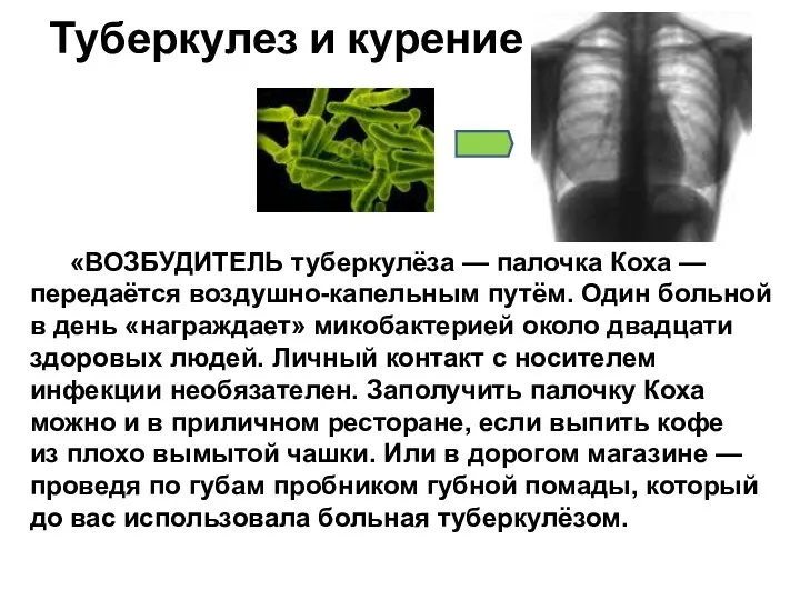 Туберкулез и курение «ВОЗБУДИТЕЛЬ туберкулёза — палочка Коха — передаётся воздушно-капельным путём. Один