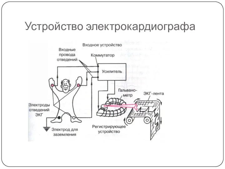 Устройство электрокардиографа