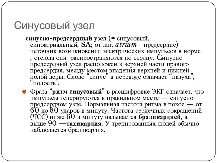 Синусовый узел синусно-предсердный узел (= синусовый, синоатриальный, SA; от лат.