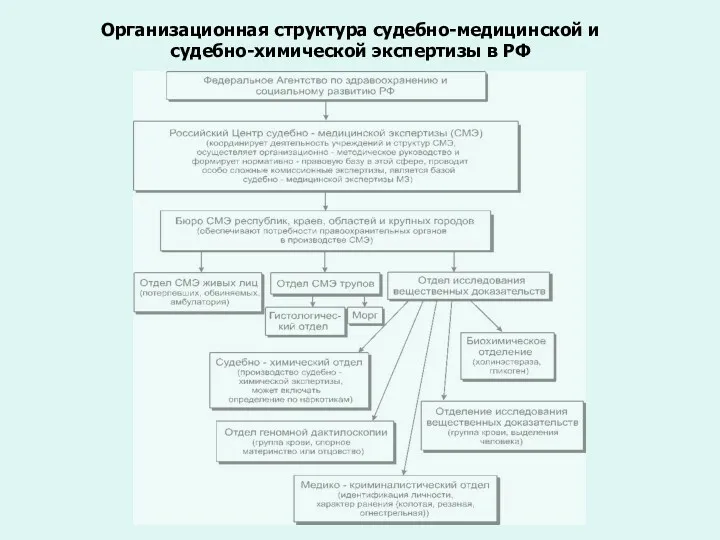 Организационная структура судебно-медицинской и судебно-химической экспертизы в РФ