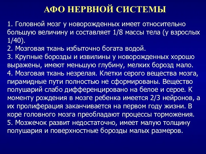 АФО НЕРВНОЙ СИСТЕМЫ 1. Головной мозг у новорожденных имеет относительно