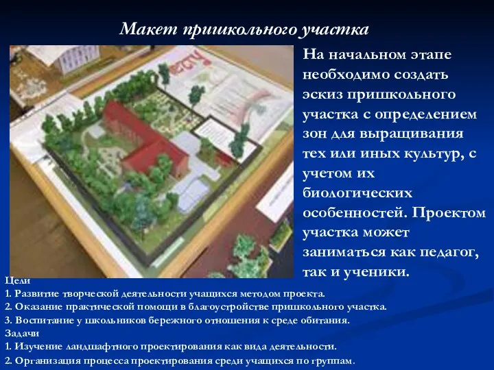 На начальном этапе необходимо создать эскиз пришкольного участка с определением зон для выращивания