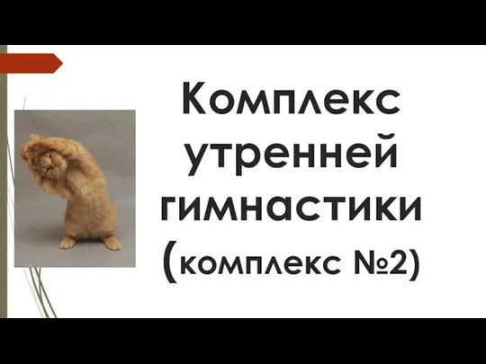 Комплекс утренней гимнастики (комплекс №2)