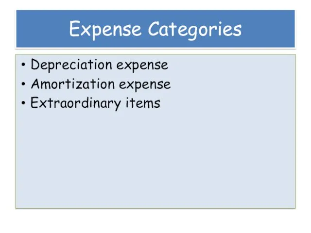 Expense Categories Depreciation expense Amortization expense Extraordinary items
