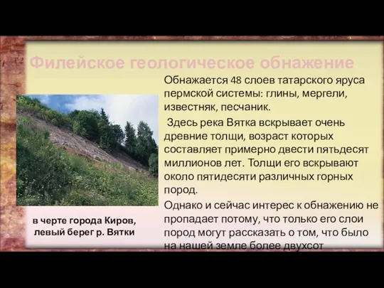 Филейское геологическое обнажение Обнажается 48 слоев татарского яруса пермской системы: